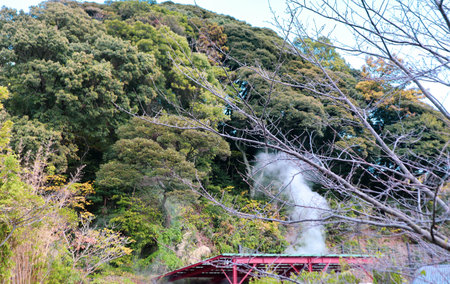 Scenic Steam Rising from Outdoor Onsen Amid Natureの写真素材