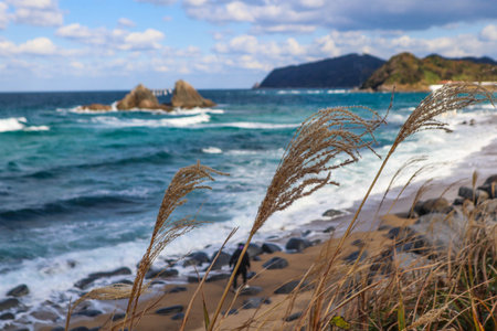 A scenic view of the ocean with gentle waves, tall grasses swaying in the wind, and a vibrant blue sky filled with fluffy clouds. Perfect nature and seasonal background.の写真素材