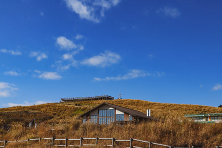 A cozy modern cabin on a grassy hill with clear blue sky, peaceful countryside scenery ideal for travel and nature concepts.の写真素材