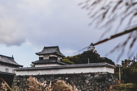 Historic Japanese Fortress with Stone Walls and Seasonal Foliage