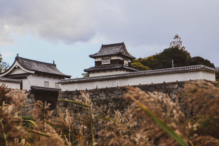 Historic Japanese Fortress with Stone Walls and Seasonal Foliageの写真素材