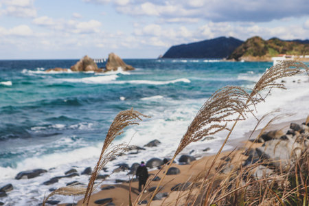 A scenic view of the ocean with gentle waves, tall grasses swaying in the wind, and a vibrant blue sky filled with fluffy clouds. Perfect nature and seasonal background.の写真素材