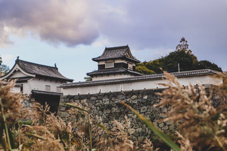 Historic Japanese Fortress with Stone Walls and Seasonal Foliageの写真素材