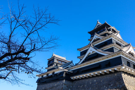 Historic Kumamoto Castle in Japan with traditional architecture against a clear blue sky.の写真素材