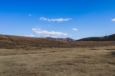 Scenic View of Active Volcano and Golden Grass Field in Autumn at Aso-Kuju National Park