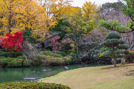 Tranquil Japanese Garden Scene with Vibrant Fall Foliage and Still Waters