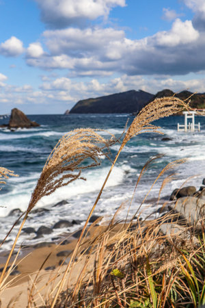 A scenic view of the ocean with gentle waves, tall grasses swaying in the wind, and a vibrant blue...