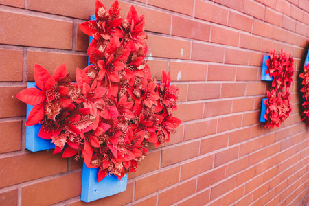 Bright red poinsettia decorations on a rustic brick wall.Christmas flower decorations on a brick wall with copy space.の写真素材