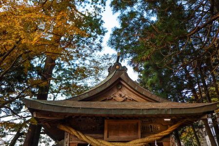 Yufuin's Kinrin Lake with a beautiful Shinto shrine and autumn colors.の写真素材