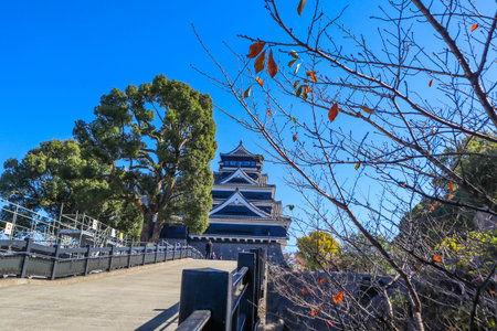 Scenic View of Kumamoto Castle, Famous Japanese Landmark and Cultural Heritage Site in Kyushu, Japanの写真素材