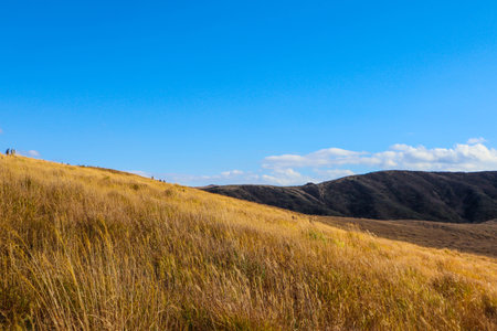 Vast Autumn Landscape: Aso Volcano Caldera, Japan.の写真素材