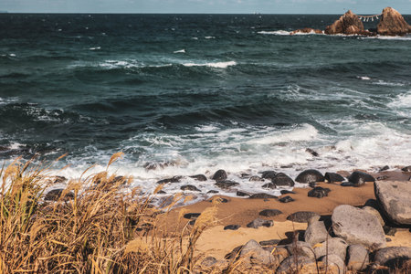 Wild Sea Waves Crashing on Rocky Beach and Dry Grassの写真素材