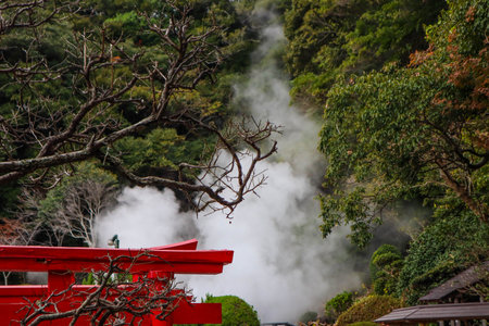 Vibrant Shinto Torii with Geothermal Steam and Bare Tree.の写真素材