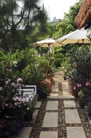 Bench in the middle of many flowers の写真素材