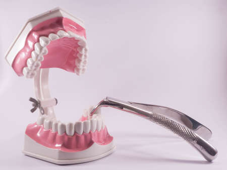 Extractionの写真素材