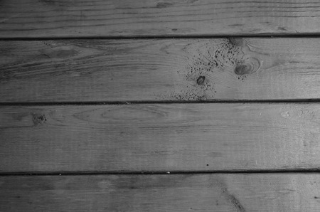 White and Black Wood Floors.の写真素材