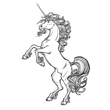 Unicorn standing on its hind legs as a traditional heraldry emblem. Heraldry element. Sketch isolated in white background.のイラスト素材