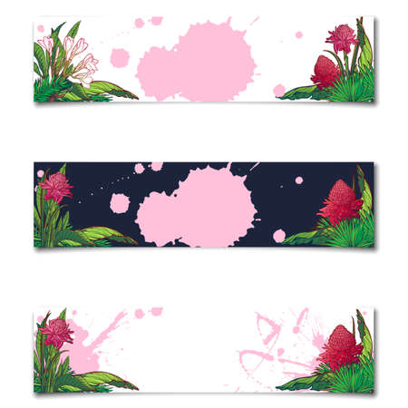 Set of 3 Tropical Floral horisontal banners. Banana and palm tree leaves, exotic flowers. Sticker, flyer or banner design template. EPS10 vector illustrationのイラスト素材
