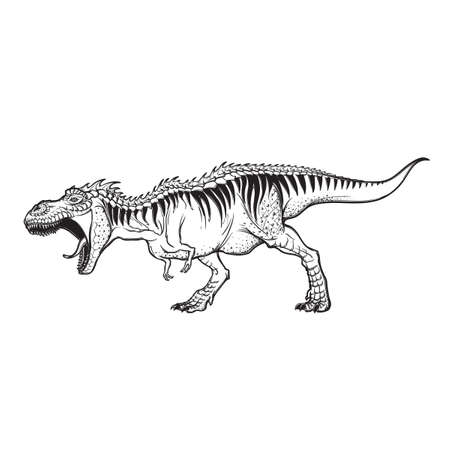 Detailed sketch style drawing of the roaring tirannosaurus rex. Full-lenght figure. Threatening pose.のイラスト素材