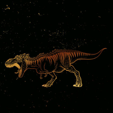 Detailed sketch style drawing of the roaring tirannosaurus rex. Full-lenght figure. Threatening pose. Gold on black nightsky background.のイラスト素材