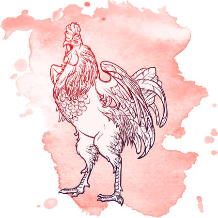 Concept drawing for year of rooster 2017. Crowing Cock - Symbol of New Year 2017. Linear hand drawing on grunge spot texture background. EPS10 vector illustration.のイラスト素材