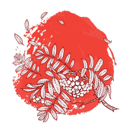 Wind stripping leaves off the Maple branch. Desaturated Red grunge spot background. Autumn mood. Hand drawn sketch. EPS10 vector illustration.のイラスト素材