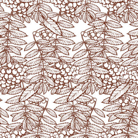 Autumn rowanberry leaves and berries. Detailed intricate hand drawing. Chaotic distribution of elements. Seamless pattern. EPS10 vector illustration.のイラスト素材