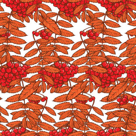 Autumn rowanberry leaves and berries. Detailed intricate hand drawing. Chaotic distribution of elements. Seamless pattern. EPS10 vector illustration.のイラスト素材