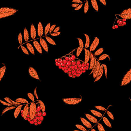 Autumn rowanberry leaves and berries. Detailed intricate hand drawing. Chaotic distribution of elements. Red on black seamless pattern. EPS10 vector illustration.のイラスト素材