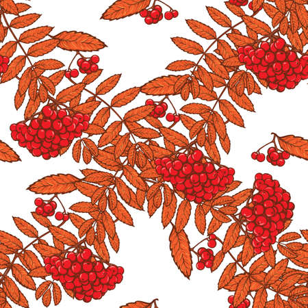 Autumn rowanberry leaves and berries. Detailed intricate hand drawing. Chaotic distribution of elements. Red on white seamless pattern. EPS10 vector illustration.のイラスト素材