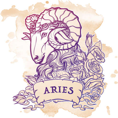 Zodiac sign of Taurus. with a decorative frame of roses Astrology concept art. Tattoo design. Sketch in pastel pallette isolated on white background. vector illustration.のイラスト素材