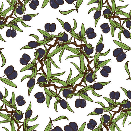 Hand Drawn doodle style Olive Oil Seamless Pattern With Sketch Olive Tree branches and fruits arranged in wreaths . EPS10 vector illustration.のイラスト素材
