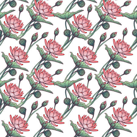 Lotus background. Floral pattern with water lilies isolated on white background. EPS10 vector illustration.のイラスト素材