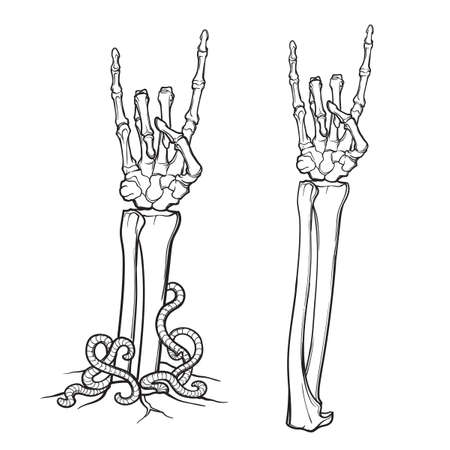 Pair of skeleton hands rising from the ground doing a handsignのイラスト素材