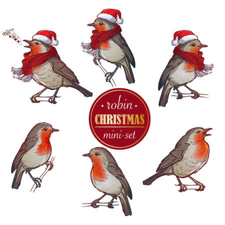Christmas Robin. Set of 6 hand drawn sketch style pictures of Robin in different angles with or without hat and scarf. Colourfull painting isolated of white background. EPS 10 Vector illustrationのイラスト素材