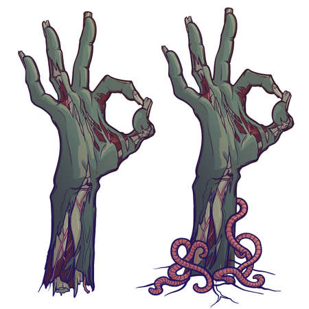 Zombie body language. OK Sign. lifelike depiction of the rotting flash with ragged skin, protruding bones and cracked nails. linear drawing colored Isolated on white background. EPS10 vectorのイラスト素材