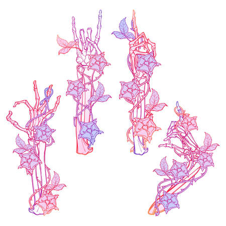 .Set of skeleton hands with various gestures decorated with dog-rose garlands. Trendy colored line drawing isolated on white background. EPS10 vector illustrationのイラスト素材