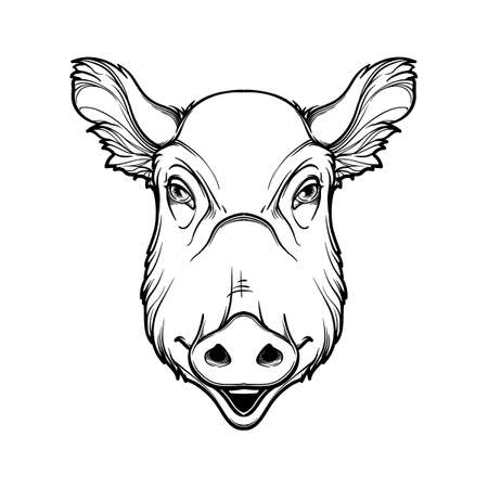 Cute pigs head. Mascot of the New Year 2019 according to Chinese zodiac calendar. Linear black drawing isolated on white background. EPS10 vector illustrationのイラスト素材