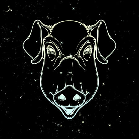 Cute pigs head. Mascot of the New Year 2019 according to Chinese zodiac calendar. Linear drawing isolated on black starry night textured background. EPS10 vector illustrationのイラスト素材