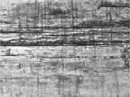 rough halftone texture overlay. Abstract black and white aged wooden background.のイラスト素材