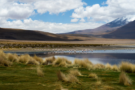 Laguna Verde and Flamingos. Bolivia. Blue Sky with Cloudsの写真素材