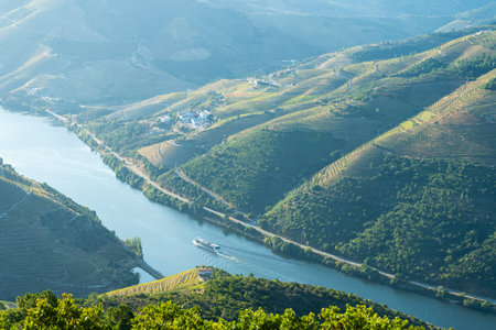 Douro Valley and Douro River with Boat on Sunny Hazy Morning. Green Hills and Mountains. Portugal.の写真素材