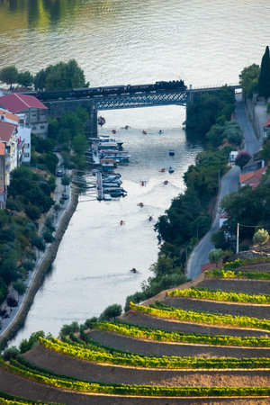 Douro Valley, Touristic Historical Train and Douro River. Green Hills, Vineyards and Terraces. Pinhao, Portugalの写真素材