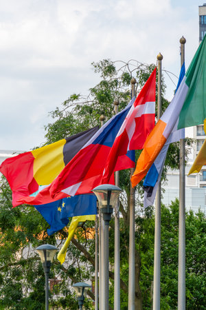 European Union Countries Flags and Green Trees in City of Brussels, Belgiumの写真素材