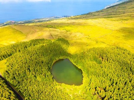 Green Hills, Fields, Forest, Lake Lagoa Seca and Atlantic Ocean. Azores, Pico Island, Portugal. Aerial Viewの写真素材