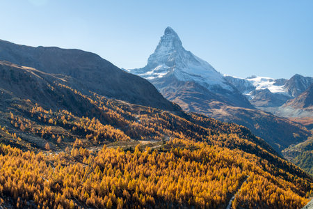 Matterhorn Mountain and Yellow Larches in Autumn on Sunny Day. Swiss Alps. Valais, Switzerlandの写真素材