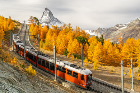 Gornergrat Railway Train, Matterhorn Mountain and Yellow Golden Larches in Autumn. Fall Colors....