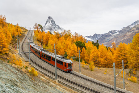 Rack Railway Red Train, Matterhorn Mountain and Yellow Golden Larches in Autumn. Swiss Alps. Zermatt, Valais, Switzerland. Wide Shotの写真素材