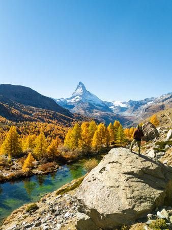 Hiker on top of boulder looking at Matterhorn mountain. Lake Grindjisee and yellow larches in autumn on sunny day. Fall colors and blue sky. Swiss Alps. Aerial view. Zermatt, Valais, Switzerlandの写真素材