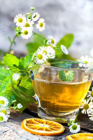 chamomile in boiling cup - still lifeの写真素材